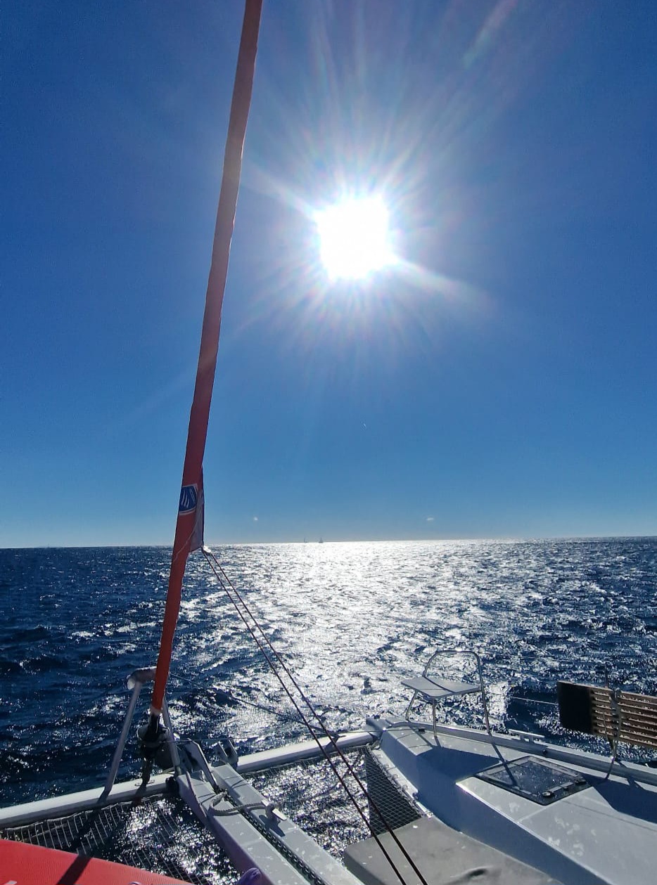 Market Entry & Advisory